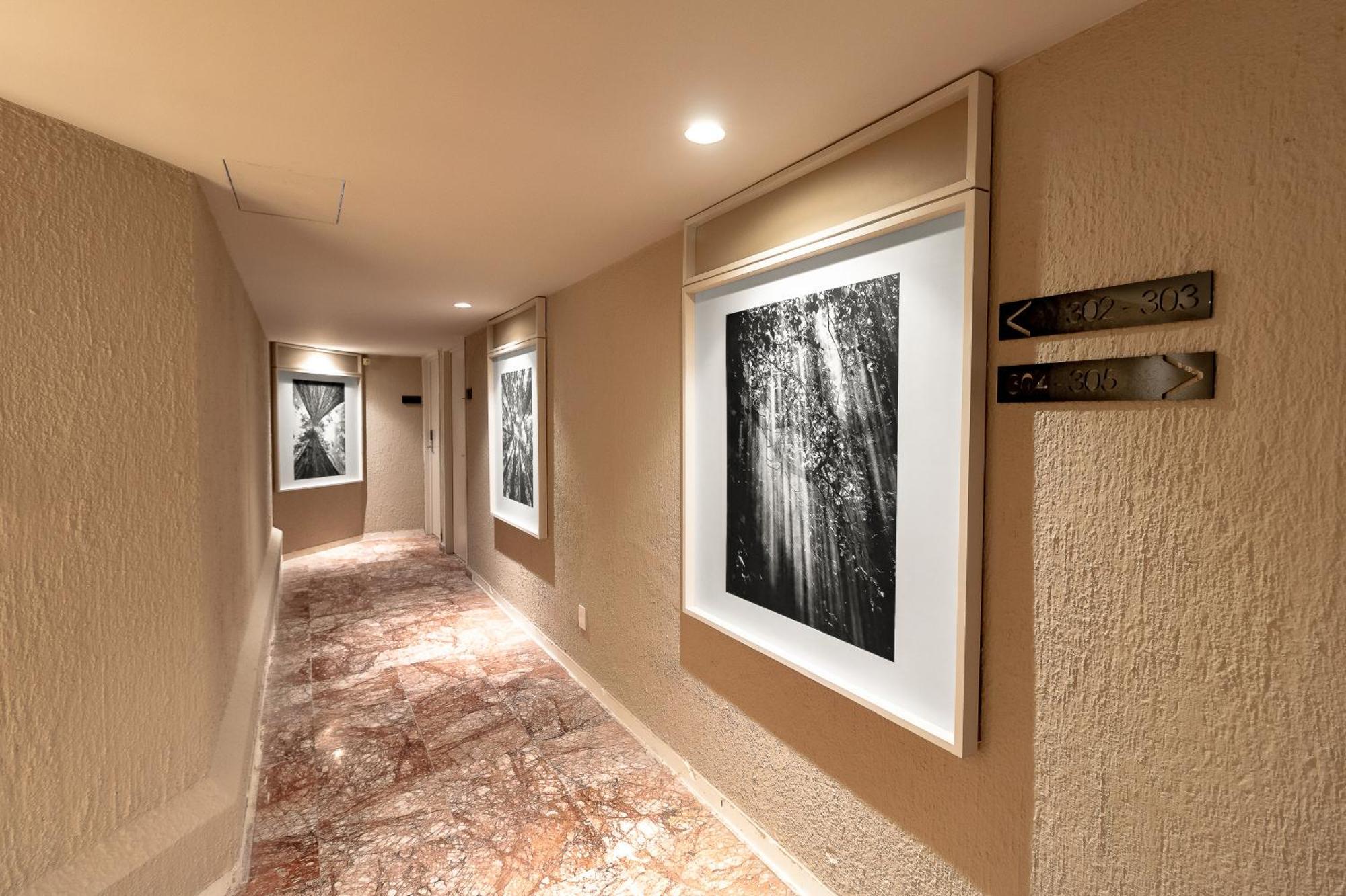 Oliva Plaza Hotel Guadalajara Exterior photo